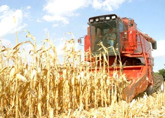 Biofuels boom and world food shortages