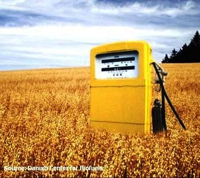 Biofuels cause controversy over the food crisis