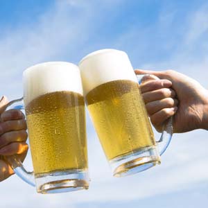 Biofuels from brewery waste