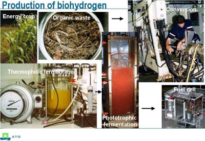 Bio-hydrogen: a clean energy source from waste