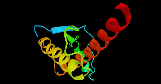 'Biological antivirus software' could prevent the next global pandemic