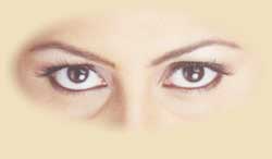 Biological eyes for the blind