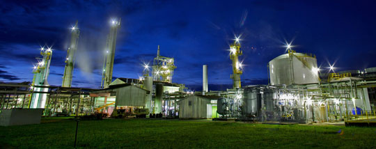 Biological filters help reduce pollution