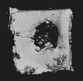 Biological glues help to regenerate bone naturally