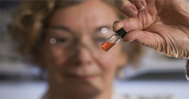 Biological pigment detection is over 1.1 billion years old