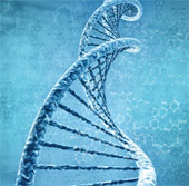 Biological semiconductors help control living cells
