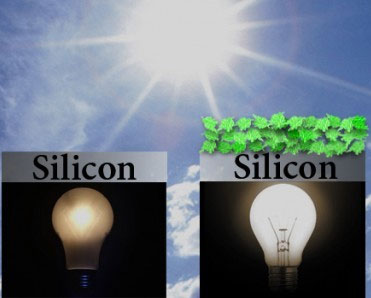 Bio-solar battery made from vegetables