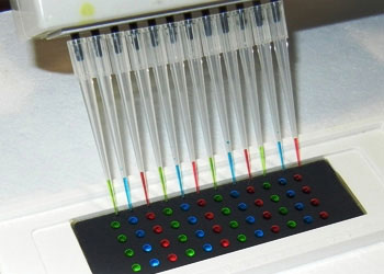 Biotech helps to test anti-cancer drugs