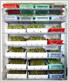Biotechnology improves competitiveness for agricultural products