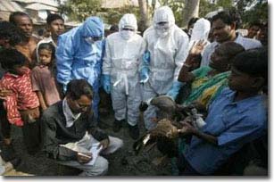 Bird flu is raging in India