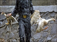 Bird flu still makes Indonesia 'headache'