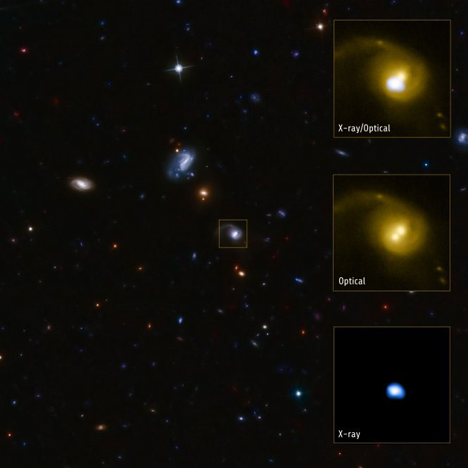 Black holes are also