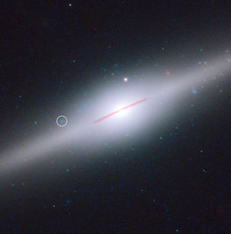 Black holes escape the destruction of the galaxy