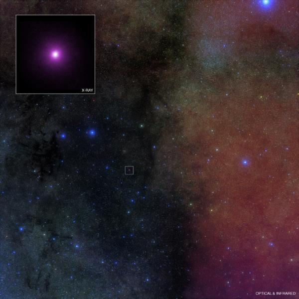 Black holes have the ability to self-adjust volume