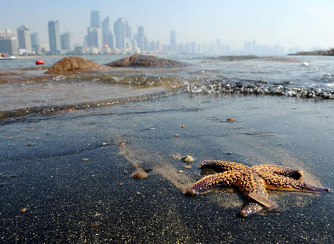 Black sand beach appears in China