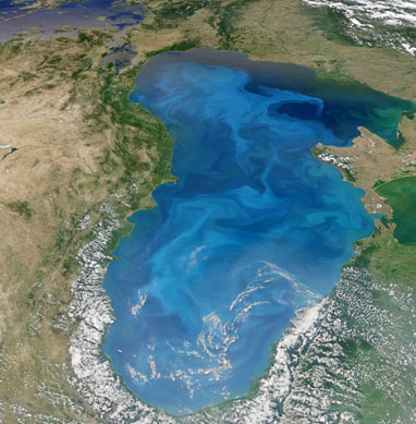 Black Sea is black?