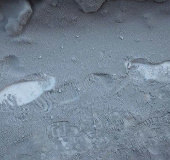Black snow falls in Russia