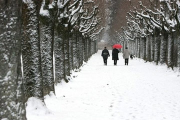 Blizzard raging in Europe
