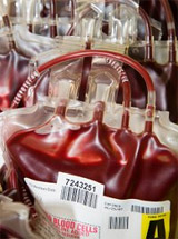 Blood donated very quickly