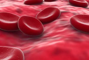 Blood group dominates interests and personalities