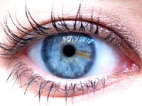Blue-eyed men like women with blue eyes