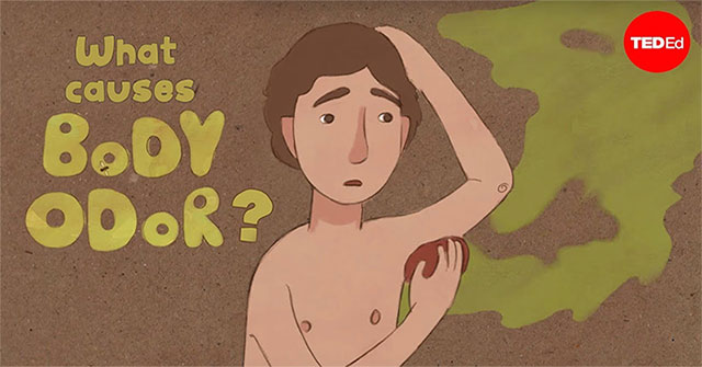 Body odor from a scientific perspective