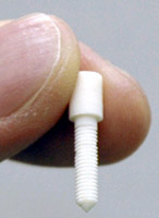 Bone screws ... to connect bones