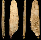 Bone tools 51,000 years old
