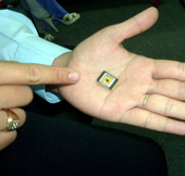 Bonus money if chip errors are designed by Vietnam