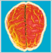 Boring work makes your brain go stupid
