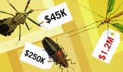 'Botnet' threat
