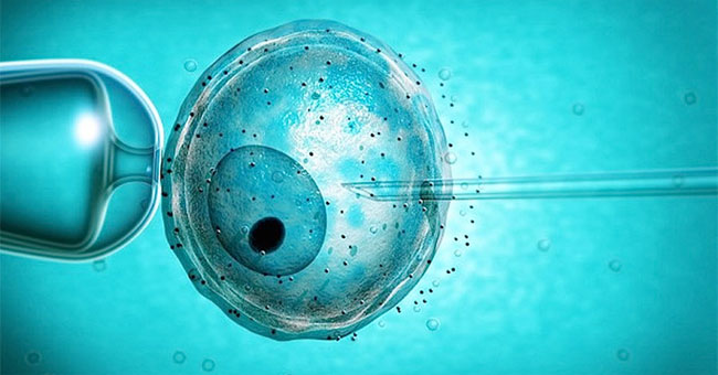 Boys born from test tubes have a high risk of infertility