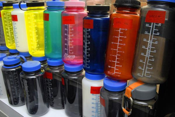 BPA infection affects many generations