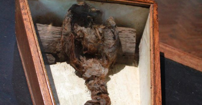 Braided hair may belong to the goddess in the coffin