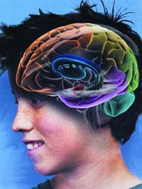 Brain death and human death