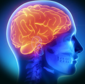 Brain implants are useful for Parkinson's patients