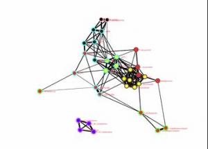 Brain organization changes when children become adults