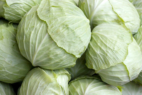 Brassica and breast cancer