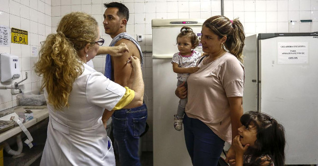 Brazil detected 8 mutations of the yellow fever virus