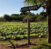 Brazil develops 'superfoods' against malnutrition