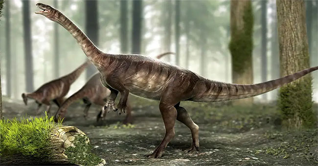 Brazil discovered the world's oldest long-necked fossil dinosaurs