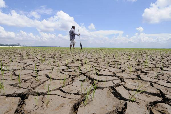 Brazil: The most severe drought in the past half century