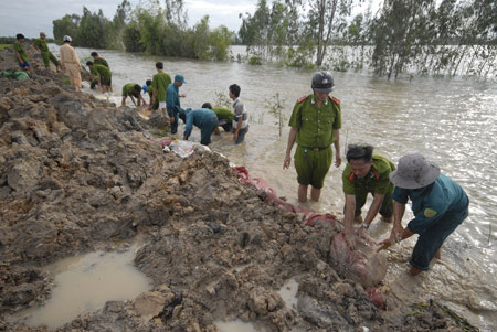 Breaking many dykes in the Mekong Delta