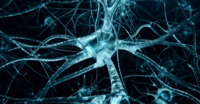 Breakthrough: Find a 'brain replacement' method to treat neurological diseases