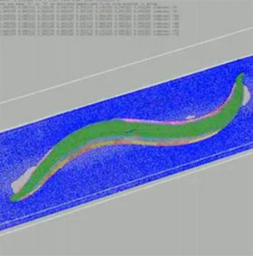 Breakthrough in real life virtualization in the virtual world