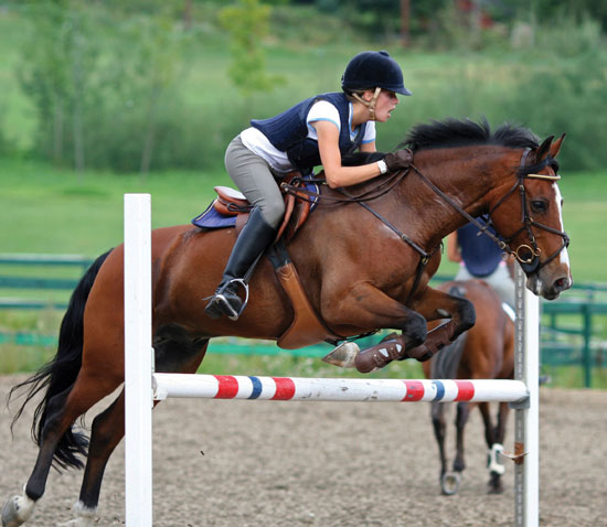 Breakthrough in treating injuries in horses