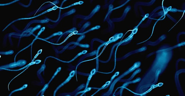 Breakthrough research proves that two men can have children together