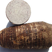 Breakthrough solution of breeding specialty crops