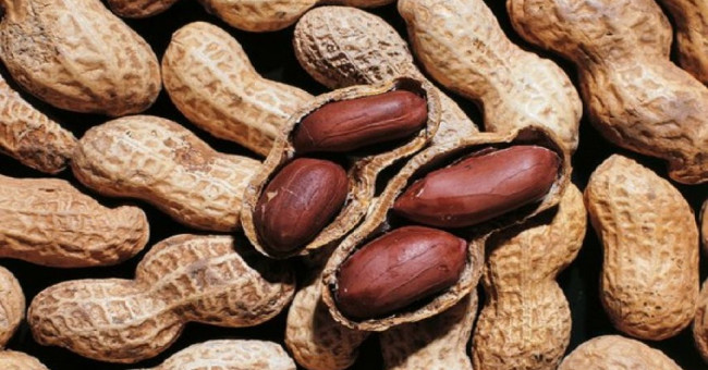 Breakthrough study in the treatment of peanut allergy status