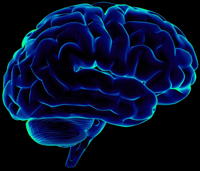 Breakthrough to reproduce the human system
